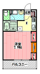 リブリ・カルム大日