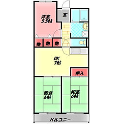 コートロイヤル