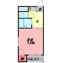 サンフラワー佐太