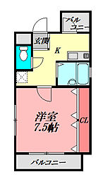 コラウーペ八島