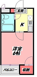 サードニックス