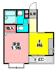 シェルマンド薩摩