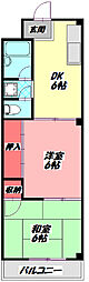 GM本通