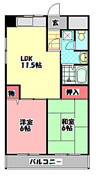 エバーグリーン旭