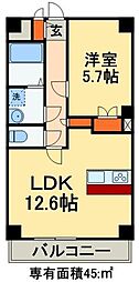 Kalmia　East 305