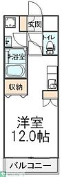 モアルヤタ藤 210