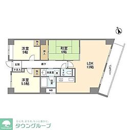 ベルジュヴァーン 504