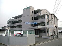 アザレアハイツ江 205