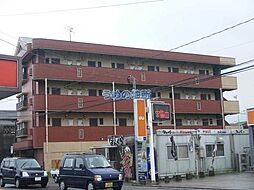 コーポラス坂井 206