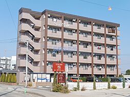 シーベル 503