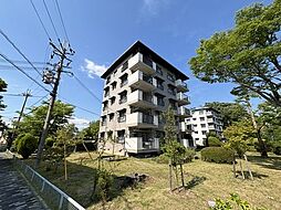 中登美団地