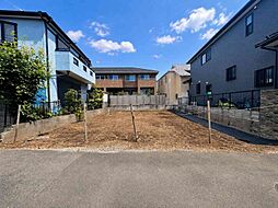 柏市豊四季