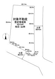 長生郡長柄町上野（リソルの森）　分譲地