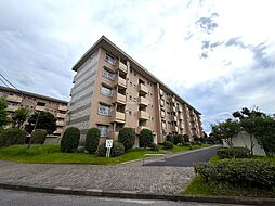 柏市大津ケ丘３丁目