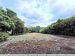長生郡長柄町上野の土地