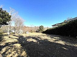 長生郡長柄町上野の土地