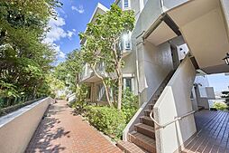 サニーヒル表山