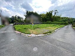 広島市佐伯区湯来町大字白砂の土地