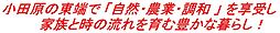 小田原市中村原3区画　住宅用地