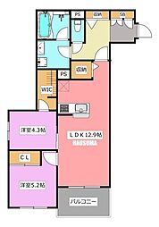 SERDINA（セルディーナ） 305
