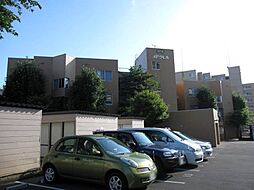 バースメドウヒル 1F