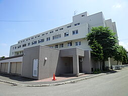 ひばりが丘パーク・マンションIII 306