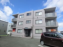 アービス新富II 3-B