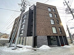 Premier-ist N.43 205