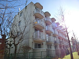 ビッグバーンズマンション新札幌 403