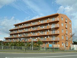 フォーレストメモリー 102