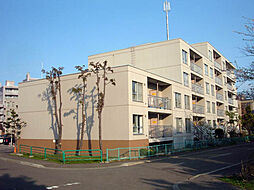 アカシヤコート厚別 410