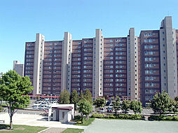 ラポールひばりが丘Ａ棟