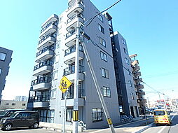 スプリング　シュン 503