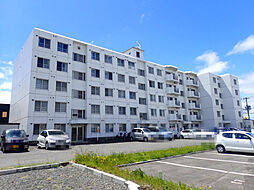 ロウタス三井 401