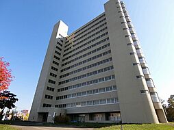 ビレッジハウス桜台タワー2号棟 906