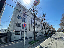 ガイアール厚別南 501