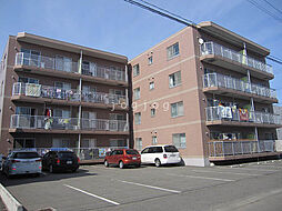 クラスターユーエム3 203