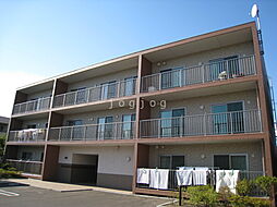 プレシャスガーデン新札幌 302