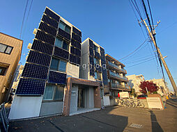 Ｓｏｌｅｉｌ 205