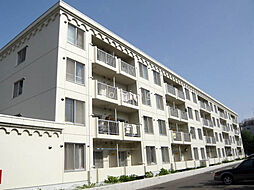 リビングロット 405