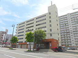 アルファロジェ 805