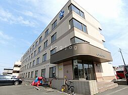 アクティブコート 205