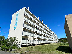 ビレッジハウス川沿1号棟 505