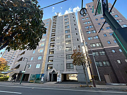 ラフィナート豊平（旧ローヤルハイツ豊平） 702