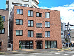 GYPSOFILLA55（ジプソヒラ） 203