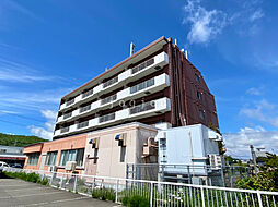 ライトハウス 203