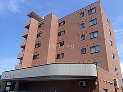シーゲル清田 501