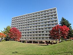 真駒内緑町団地2号棟 602