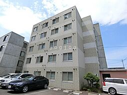 エルパステル 303