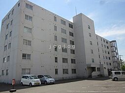 ダイアナ南幌ヒルズ壱番館 203